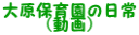 大原保育園の日常 　　（動画）